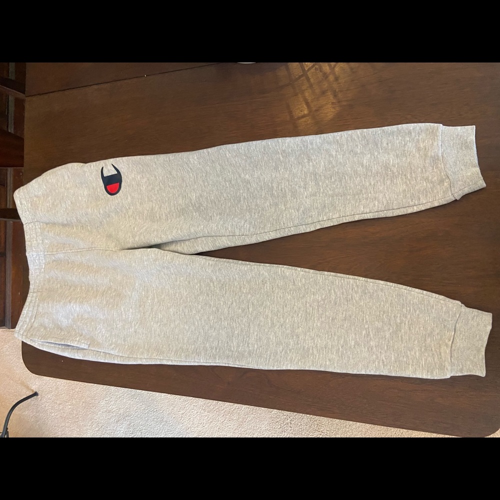 Gray champion sweatpants. No stains barely even worn